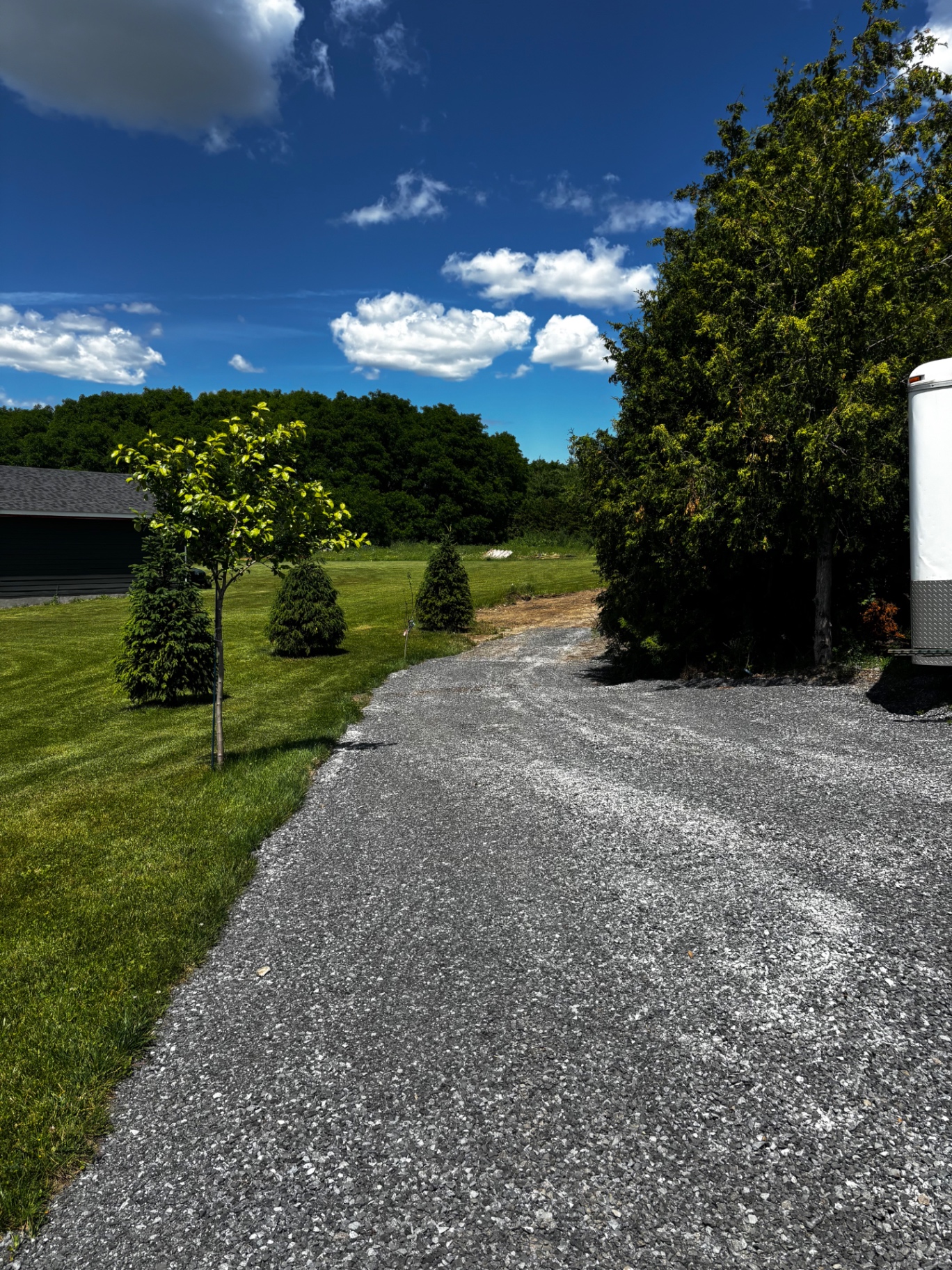 Fresh gravel drive with young plantings